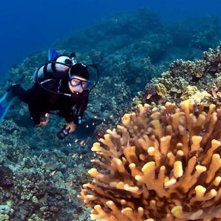 Kulakane 304 Kahana المظهر الخارجي الصورة